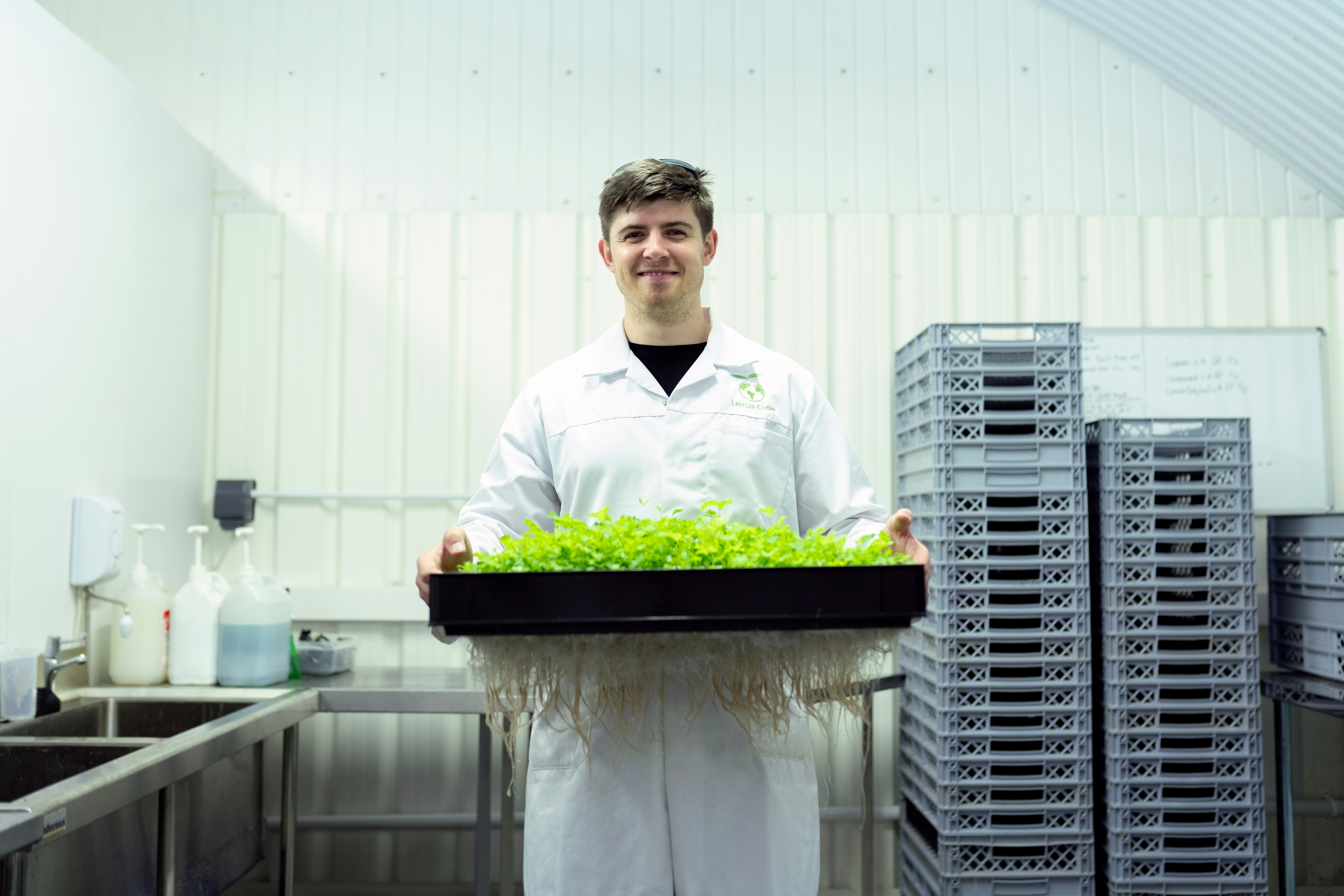scientists holding a tray with plants and roots