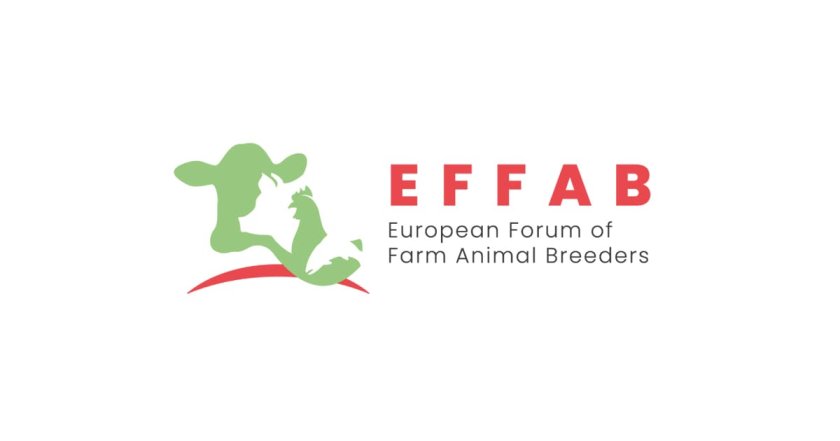 effab-european-forum-of-farm-animal-breeders-seo.jpg